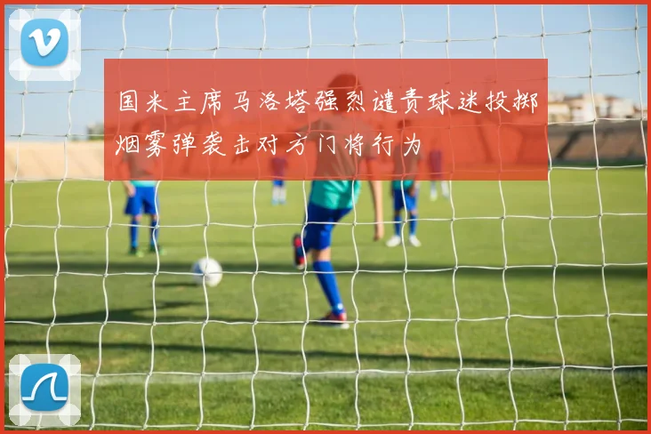 国米主席马洛塔强烈谴责球迷投掷烟雾弹袭击对方门将行为